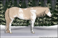 Horse Color:Smoky Creme Sabino 
