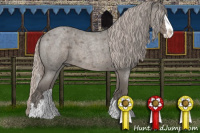 Horse Color:Silver Blue Roan Splash