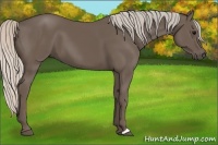 Horse Color:Silver Black 