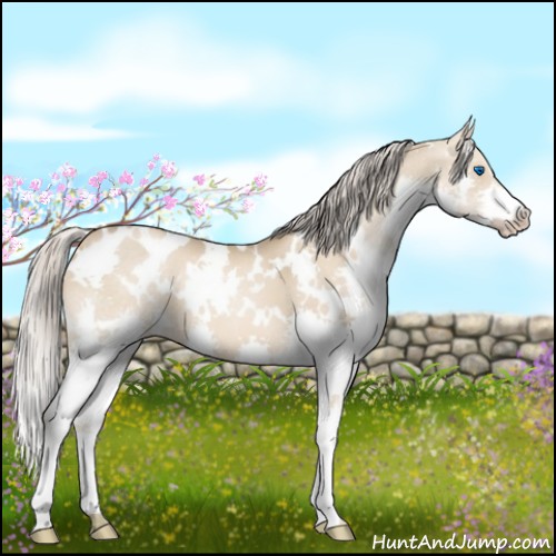Horse Color:White Spotted Chocolate Palomino Pearl Splash 