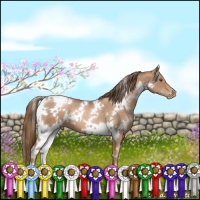 Horse Color:White Spotted Liver Chestnut Pearl 