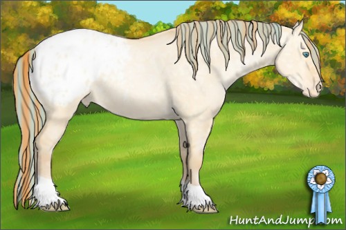 Horse Color:Painted Buckskin Ice Pearl Dun Appaloosa