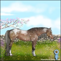 Horse Color:White Spotted Liver Chestnut Mushroom Snowflake Varnish