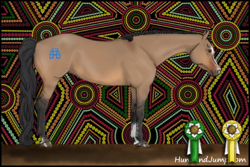 Horse Color:Bay Dun Sabino 