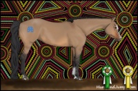 Horse Color:Bay Dun Sabino 