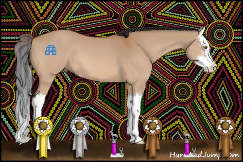 Horse Color:Bay Dun Sabino Splash