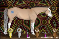 Horse Color:Bay Dun Sabino Splash