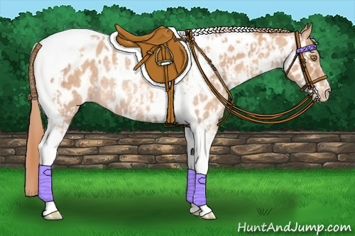 Horse Color:Gold Champagne Tobiano Near Leopard and Gold Champagne Tobiano Near Leopard Rabicano