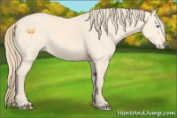 Horse Color:Perlino 