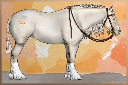 Horse Color:Palomino Roan Pearl Dun 