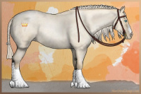 Horse Color:Palomino Roan Pearl Dun 