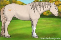 Horse Color:Perlino 