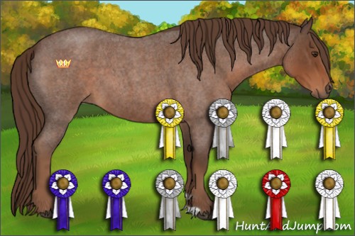 Horse Color:Liver Red Roan 