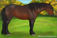 Horse Color:Gray Brown 