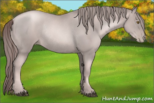 Horse Color:Platinum Liver Chestnut Pearl Rabicano