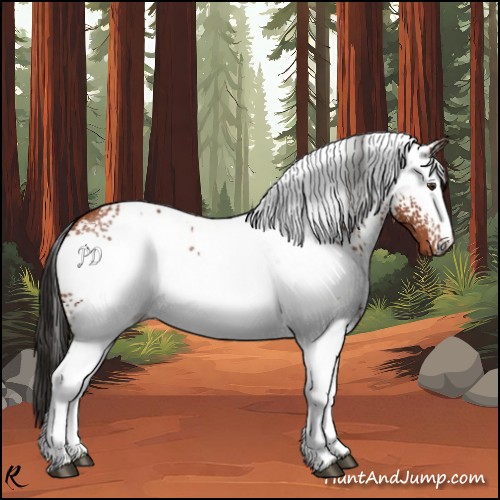 Horse Color:White Spotted Brown 
