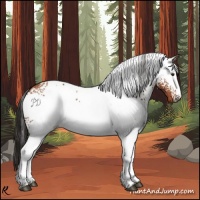 Horse Color:White Spotted Brown 