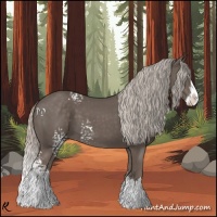 Horse Color:White Spotted Silver Black Splash 