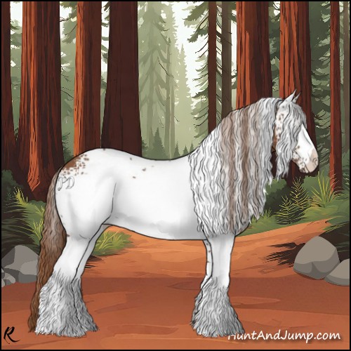 Horse Color:White Spotted Chestnut 