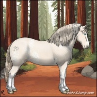 Horse Color:White Spotted Perlino Rabicano