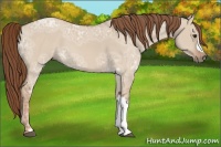 Horse Color:Red Dun Ice 
