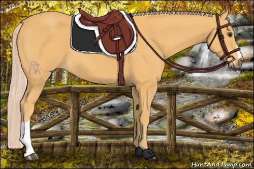 Horse Color:Palomino