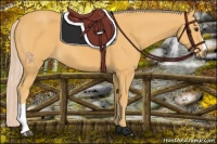 Horse Color:Palomino 