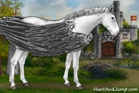 Horse Color:White Spotted Black
