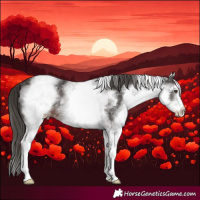Horse Color:White Spotted Liver Chestnut Rabicano