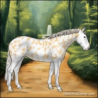 Horse Color:Palomino Splash Near Leopard 