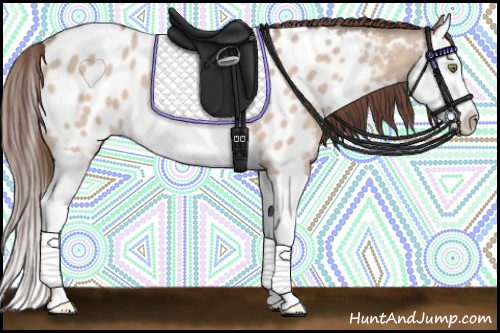 Horse Color:Sable Champagne Dun Splash Blanket