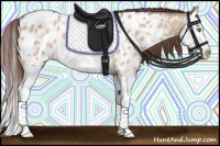 Horse Color:Sable Champagne Dun Splash Blanket 