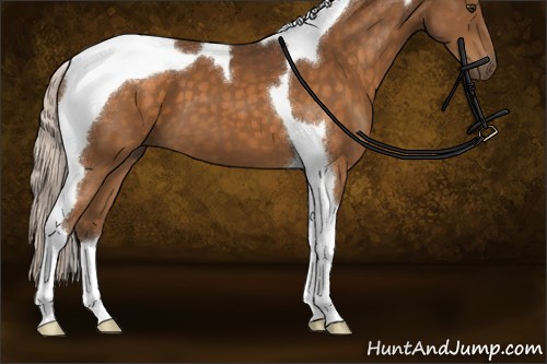 Horse Color:Silver Buckskin Tobiano