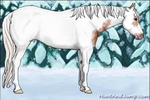 Horse Color:Silver Bay Splash Tobiano Frame 