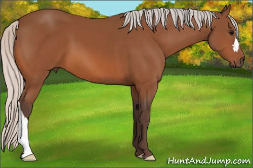 Horse Color:Silver Bay 