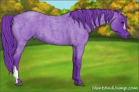 Horse Color:Watercolor Blue Roan 