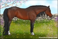 Horse Color:Brown Tobiano Rabicano