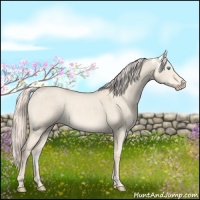 Horse Color:White Spotted Cremello Roan Dun