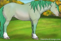 Horse Color:Watercolor Amber Champagne