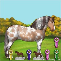 Horse Color:White Spotted Chocolate Bay Dun