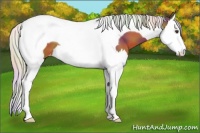 Horse Color:Nacre Silver Brown Splash Tobiano Varnish 