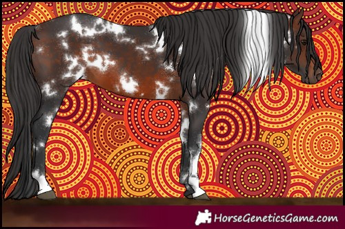 Horse Color:White Spotted Brown 