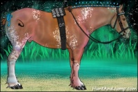 Horse Color:White Spotted Chestnut 