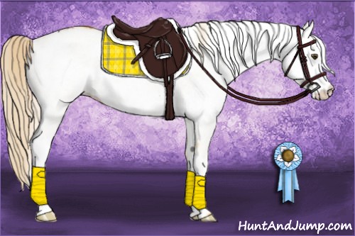 Horse Color:White Spotted Palomino Dun Rabicano
