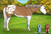 Horse Color:Gray Silver Bay Dun Splash Appaloosa 