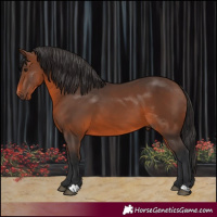 Horse Color:Brown 