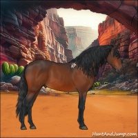 Horse Color:Brown 