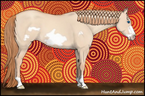 Horse Color:Gold Champagne Dun Frame