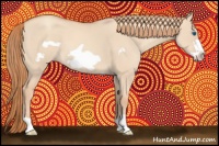 Horse Color:Gold Champagne Dun Frame 