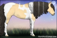 Horse Color:Buckskin Dun Tobiano